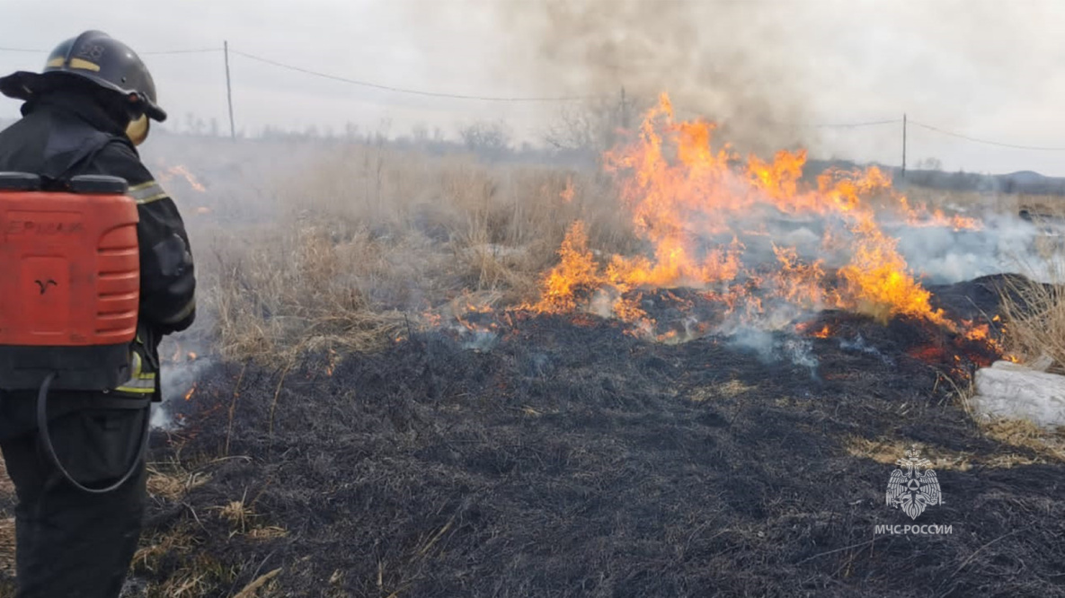 Нарушителей противопожарного режима в Хабаровском крае уже наказали на 420 тысяч рублей