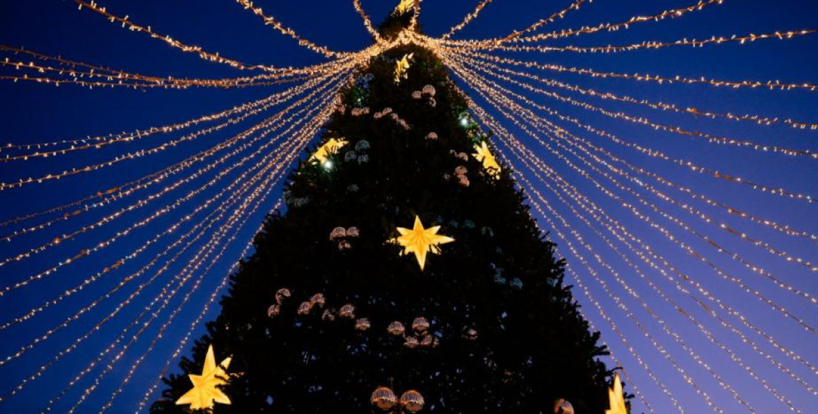 В Хабаровском крае канун нового года будет морозным и немного снежным 