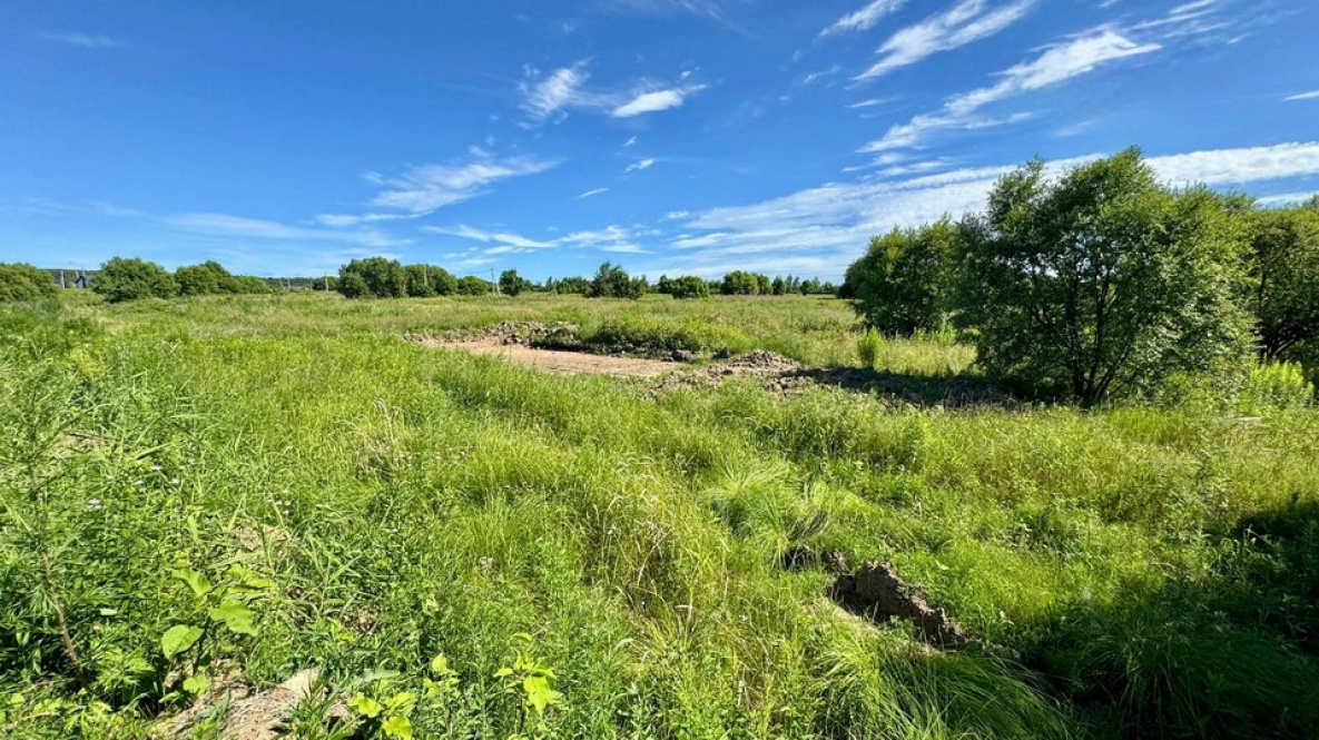 В Хабаровском крае группу злоумышленников задержали за махинации с землёй