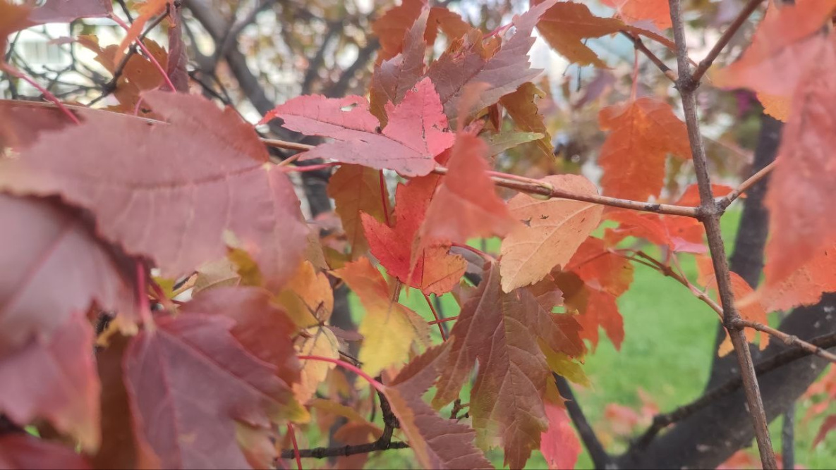 В Хабаровском крае выше ноля будет только на юге