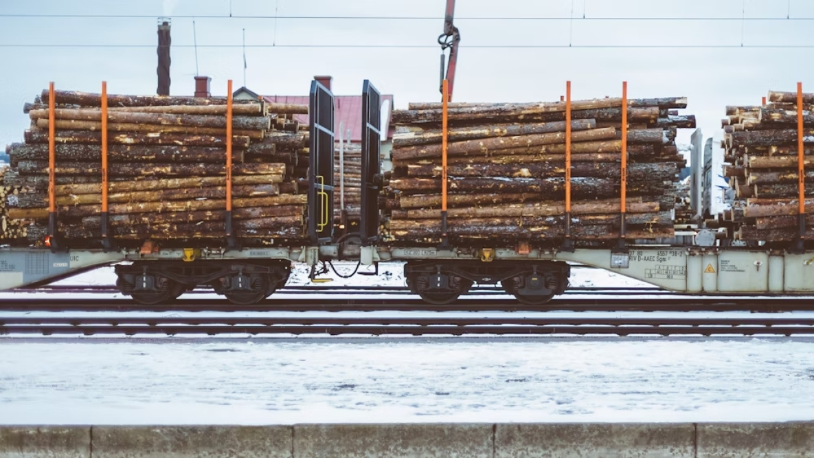 Экспортёров леса в Хабаровске судят за уклонение от уплаты таможенных платежей
