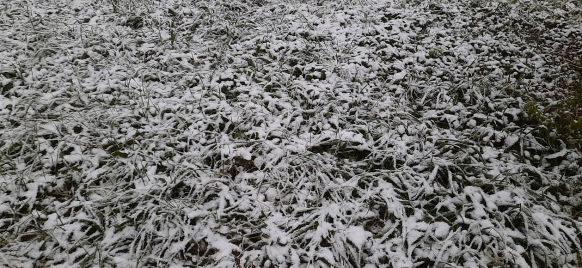 Хабаровск накрыл первый снег