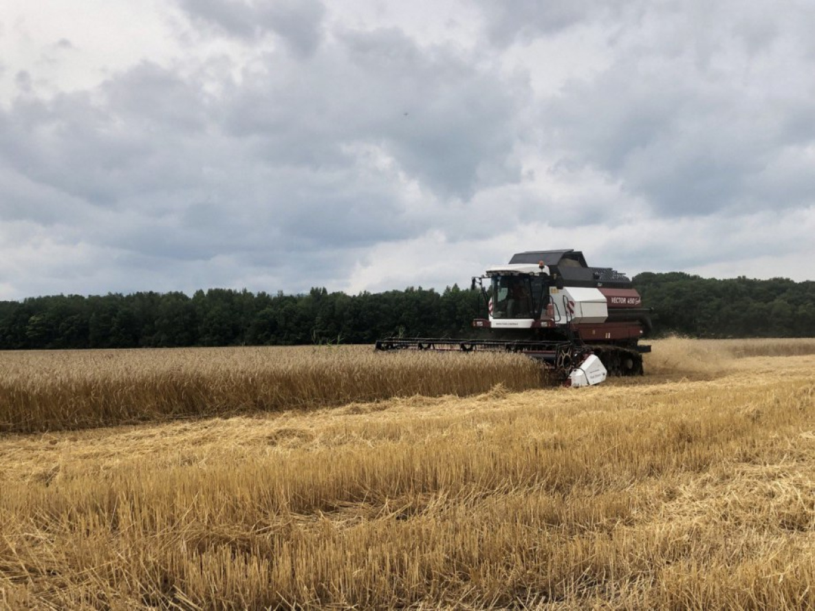 Производителям зерна в Хабаровском крае окажут дополнительную поддержку