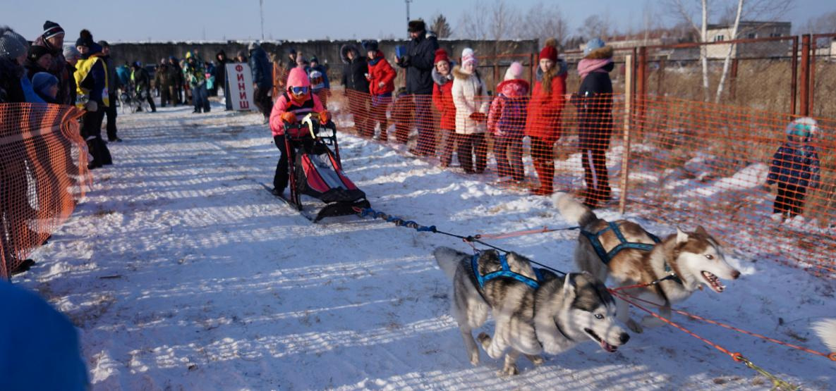 ВТБ пятый год подряд поддержит гонку на собачьих упряжках «Берингия»