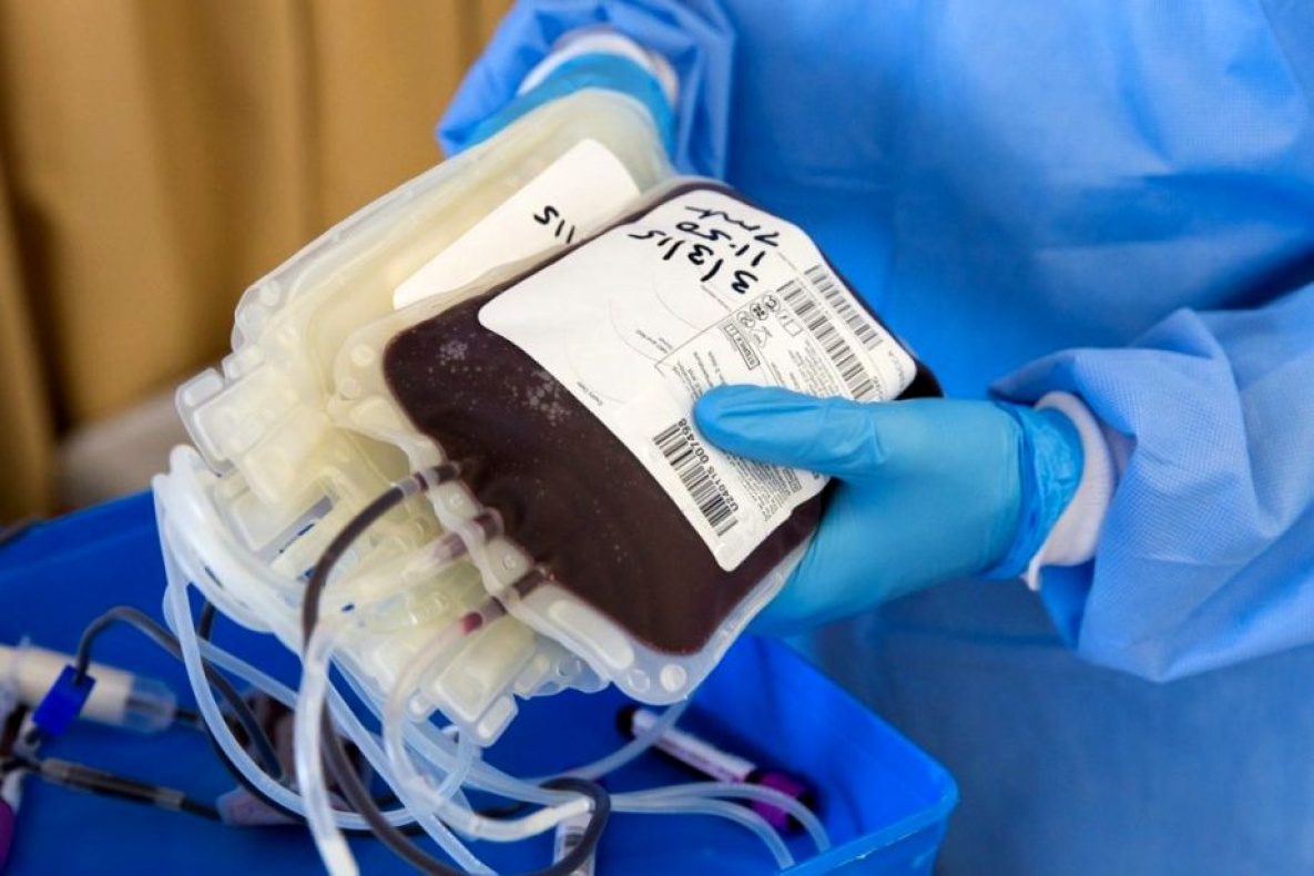 Донор крови после приёма Спутник-V вылечил хабаровчанина от COVID-19