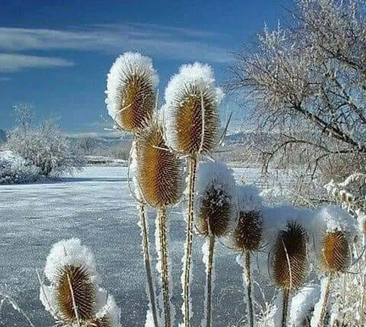  В Хабаровском крае стоят морозы, но пока не аномальные 