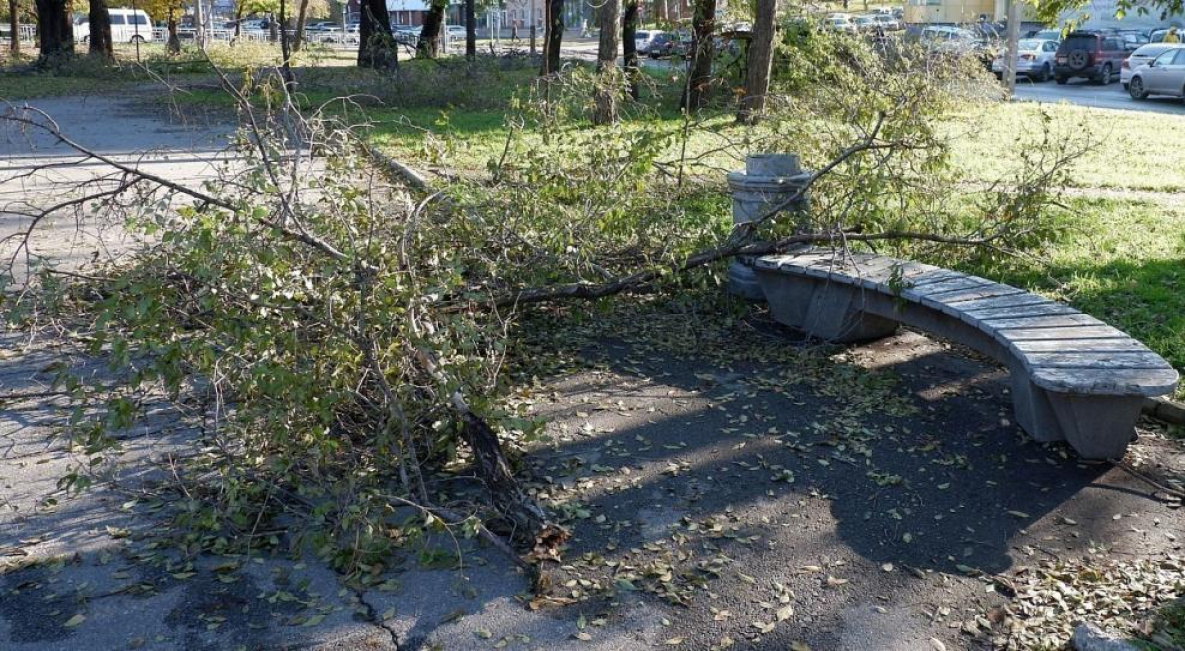 Ночная гроза в Верхнебуреинском районе поломала деревья и оборвала провода