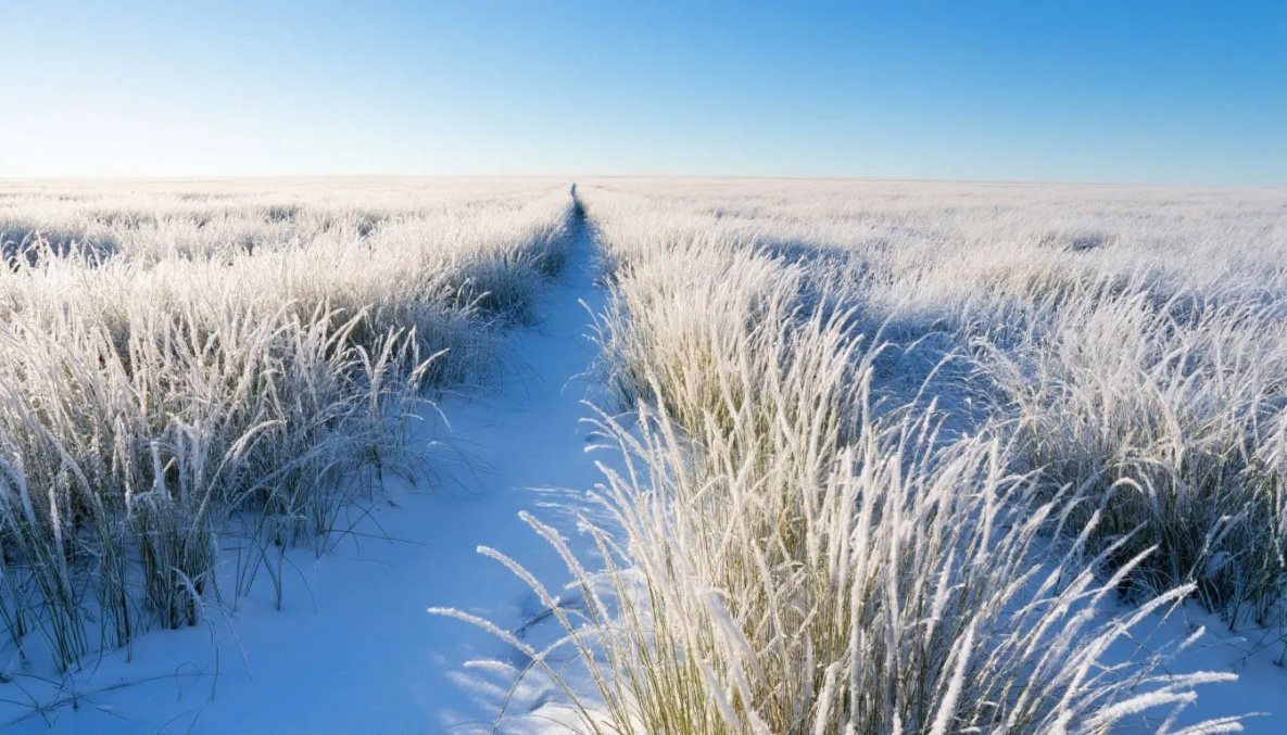 Праздники сегодня: Покров Пресвятой Богородицы