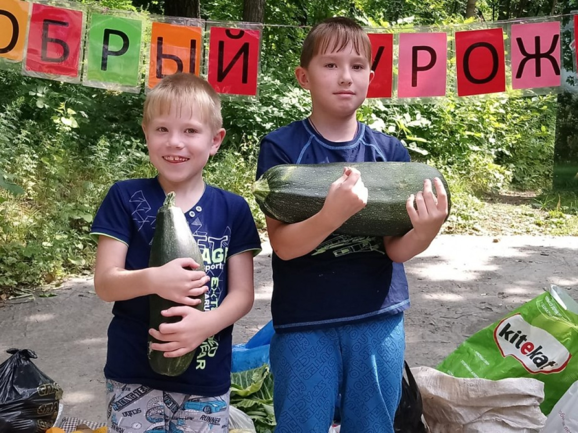 Питомцы зоосада «Приамурский» получили рекордное количество овощей и фруктов