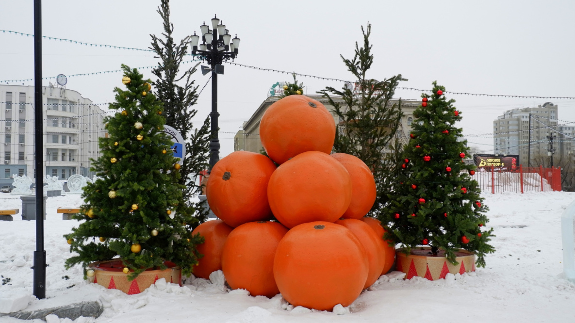 В Хабаровском крае 30 декабря: в природе тепло нового года | 29.12.2022 |  Хабаровск - БезФормата