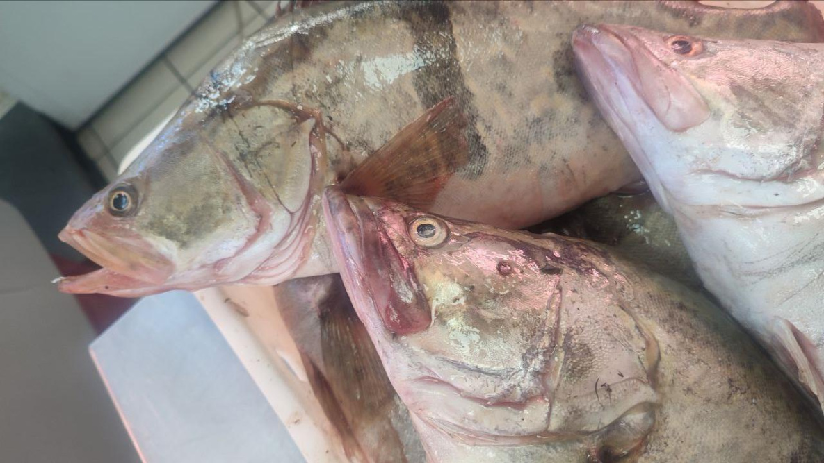  Что почём: самые выгодные приобретения в Хабаровске на рыбных рядах