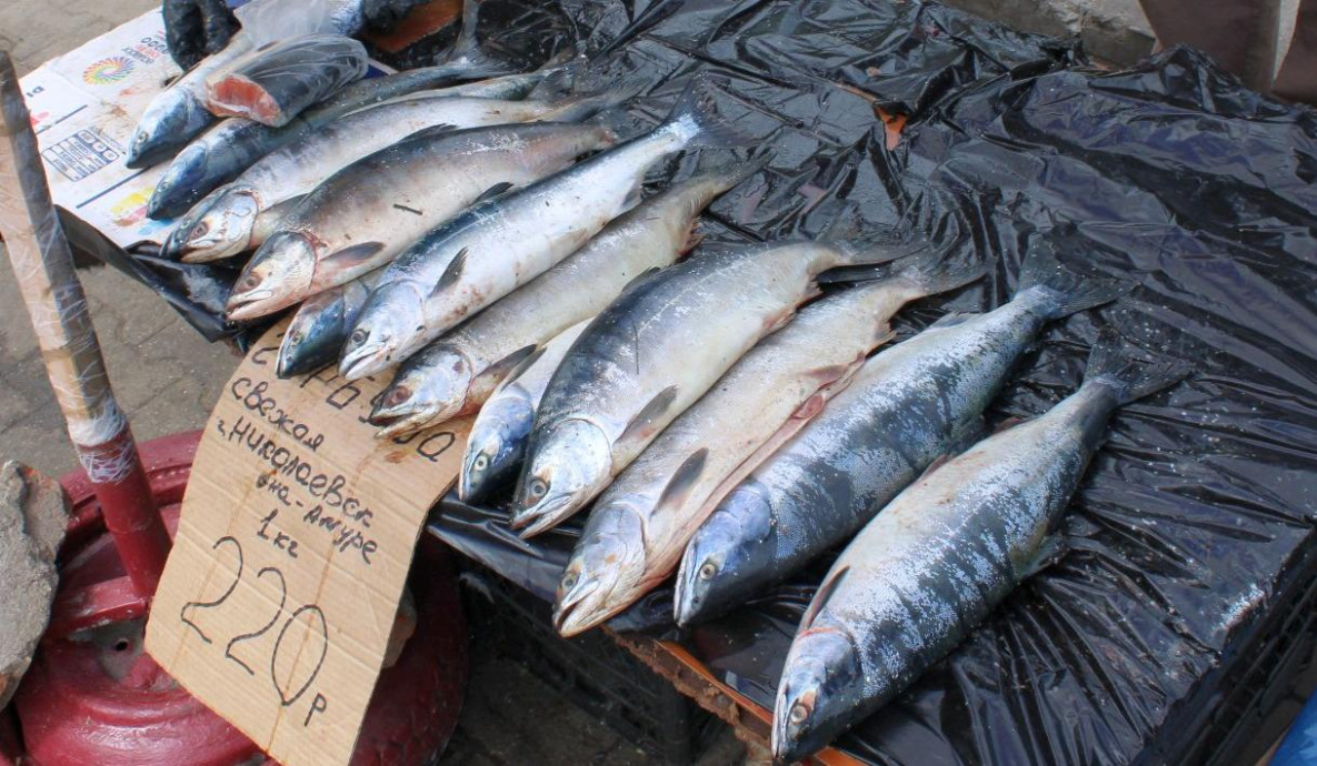 Торговцы нелегальной рыбой снова вышли на улицы Хабаровска