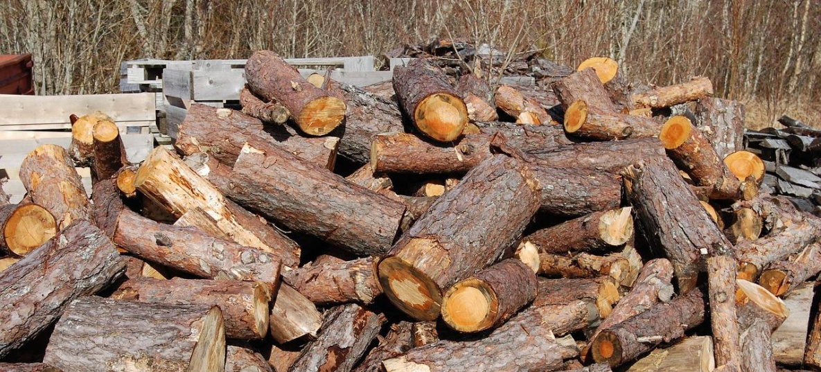 В Хабаровском крае ищут дровяного мошенника