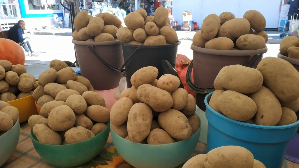 Посевные площади под картофель и овощи увеличат в Хабаровском крае