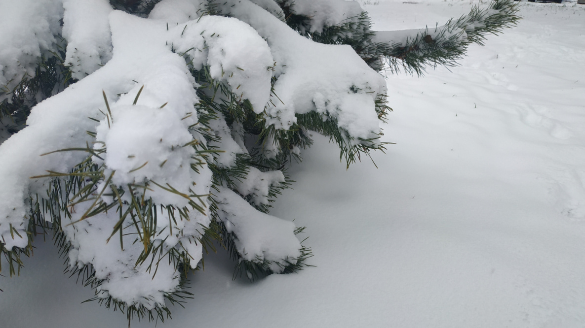 Снег пока никак не хочет покидать север Хабаровского края