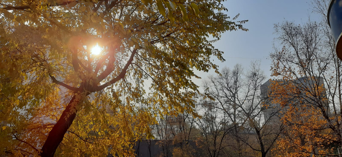 Прогноз на 9 ноября: в Хабаровском крае последнее дыхание осени