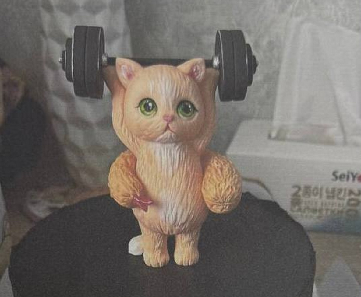 Хабаровчанин отсудил у кондитера расходы на лечение сломанного тортом зуба