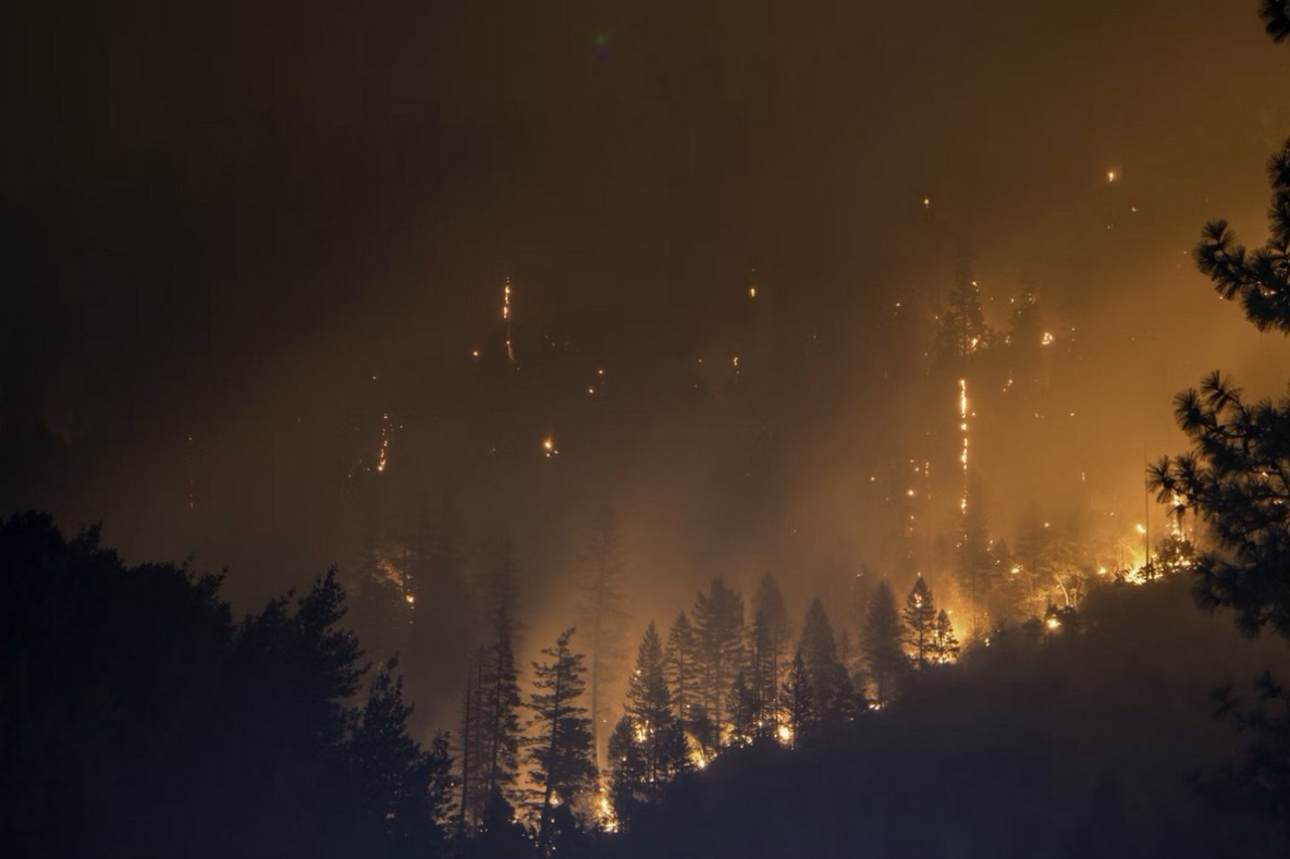Больше 200 человек тушат лесные пожары в Хабаровском крае