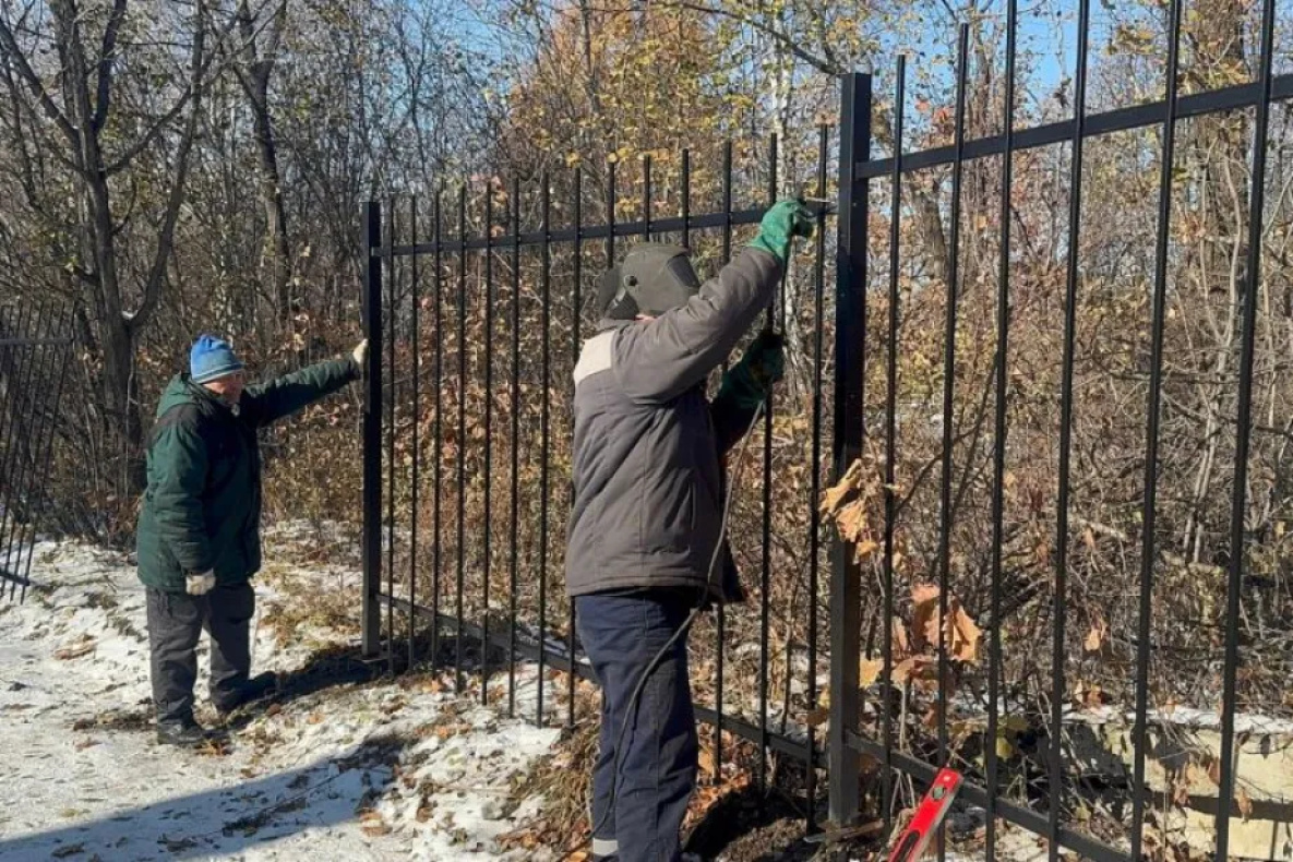 Питомник имени Лукашова в Хабаровске приводит в порядок новый хозяин