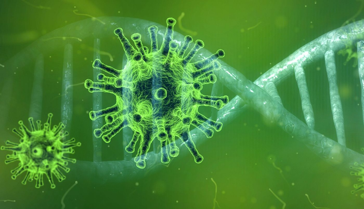 5 323 активных: данные по коронавирусу в Хабкрае на 22 сентября