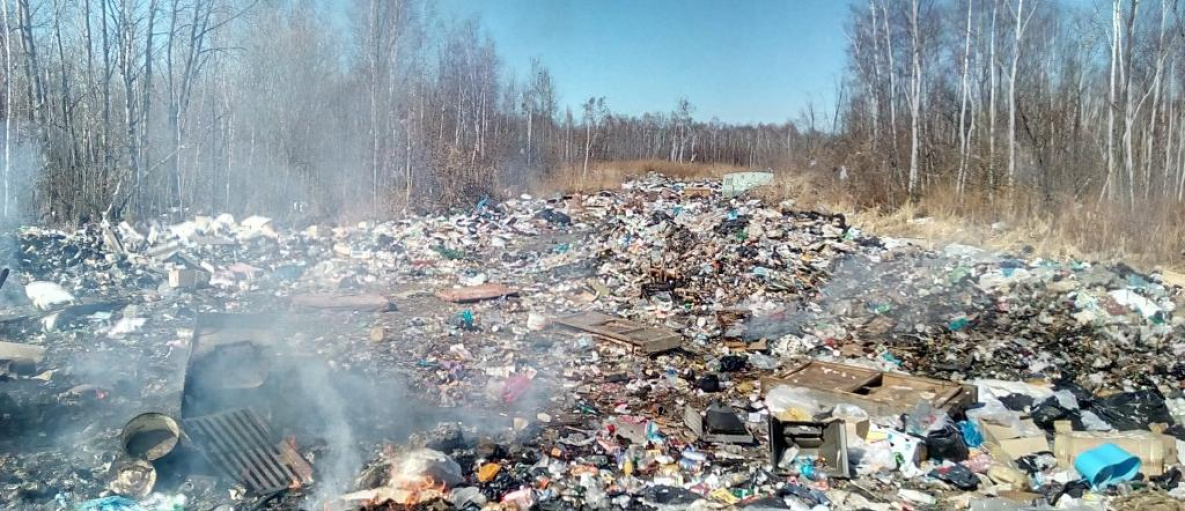 В России в 10 раз вырастут штрафы за выброс мусора из автомобиля