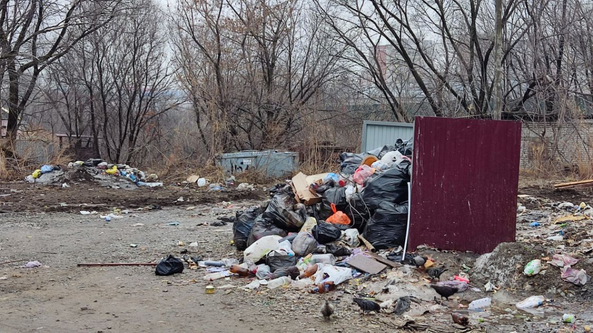 В Хабаровском крае запустят мусороперегрузочную станцию «Южная»