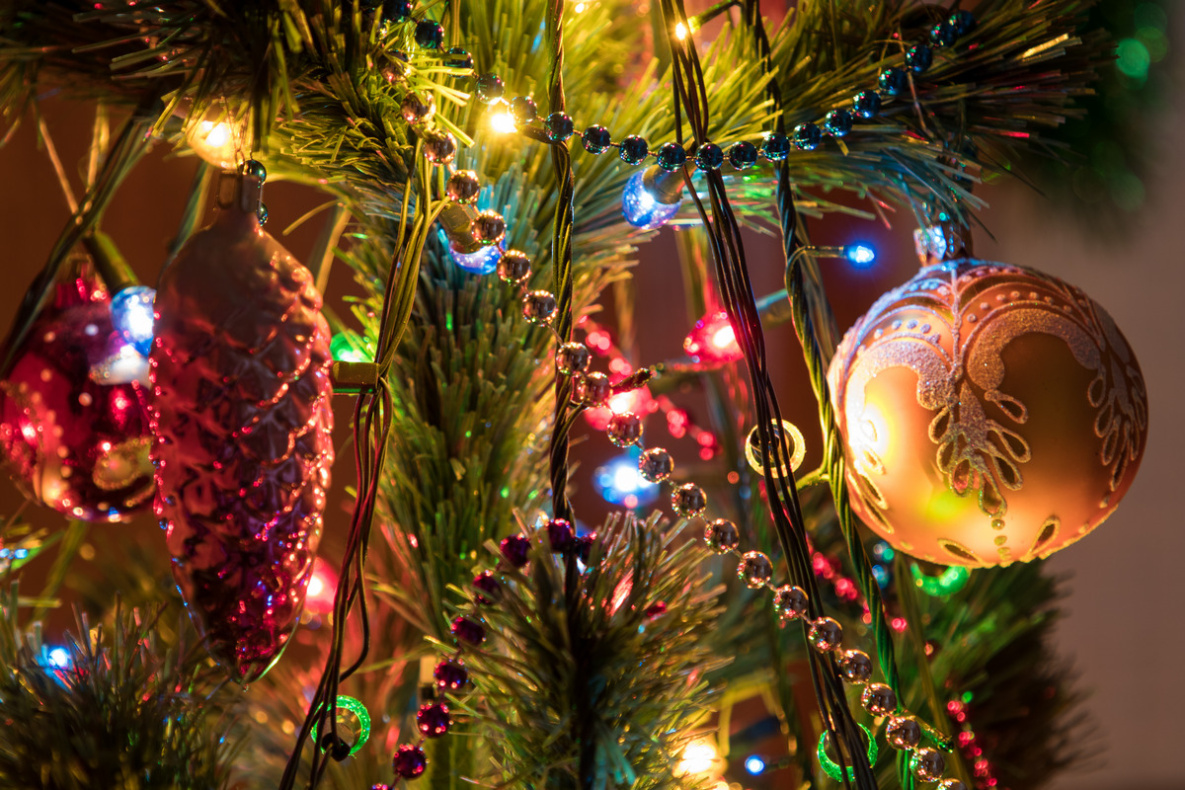 Эксперты Роспотребнадзора рассказали, как продлить жизнь новогодней ёлке
