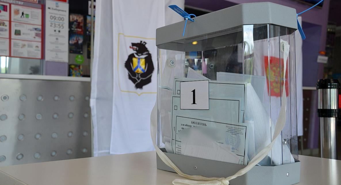 Информация о нарушениях на выборах в Хабаровске оказалась фейком