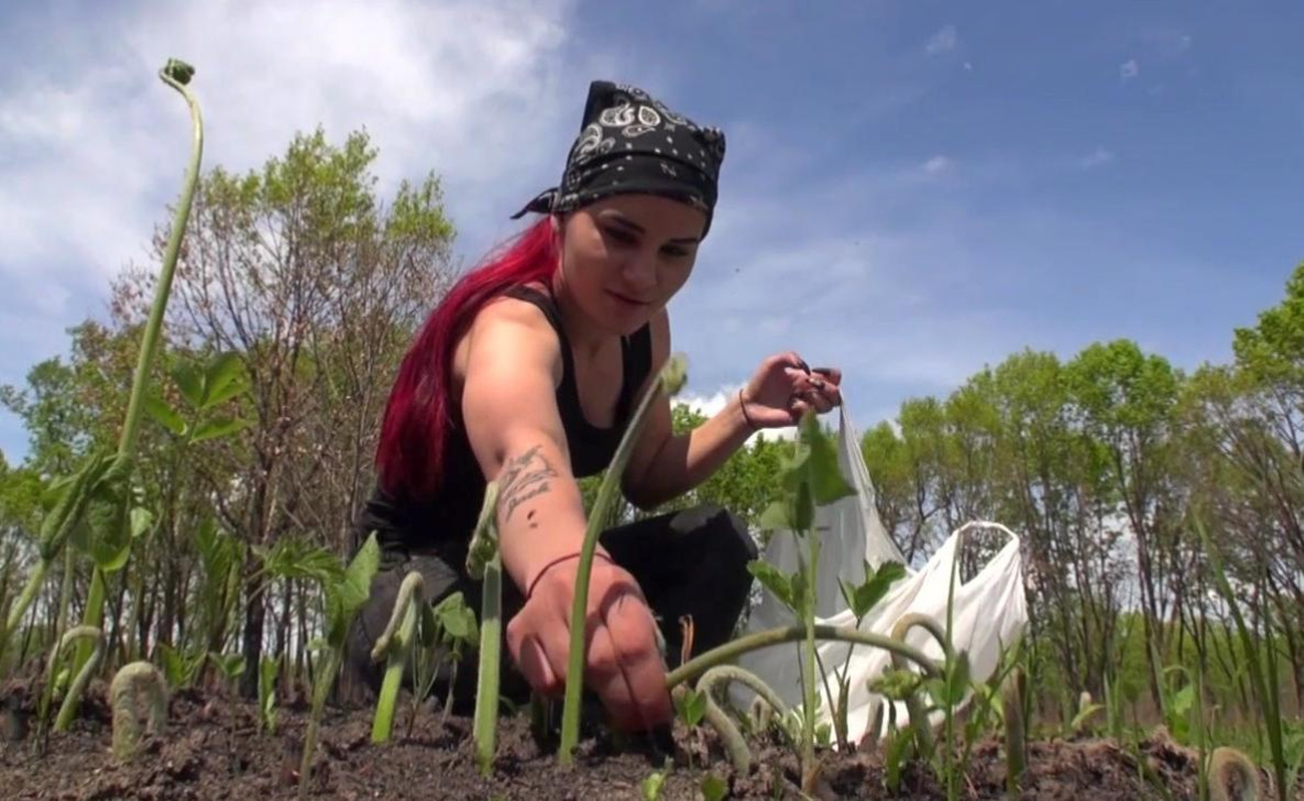 В Хабаровском крае супер-урожай, который некуда деть