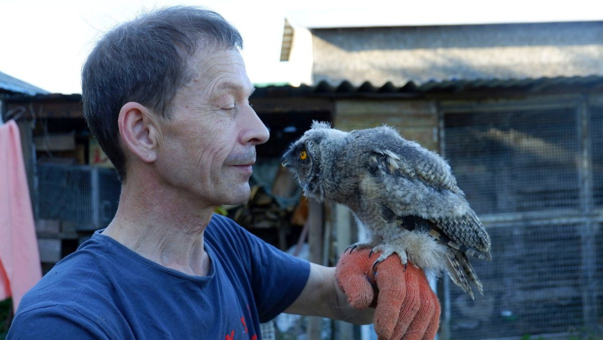 Орнитолог-самоучка спасает птиц в Хабаровском крае