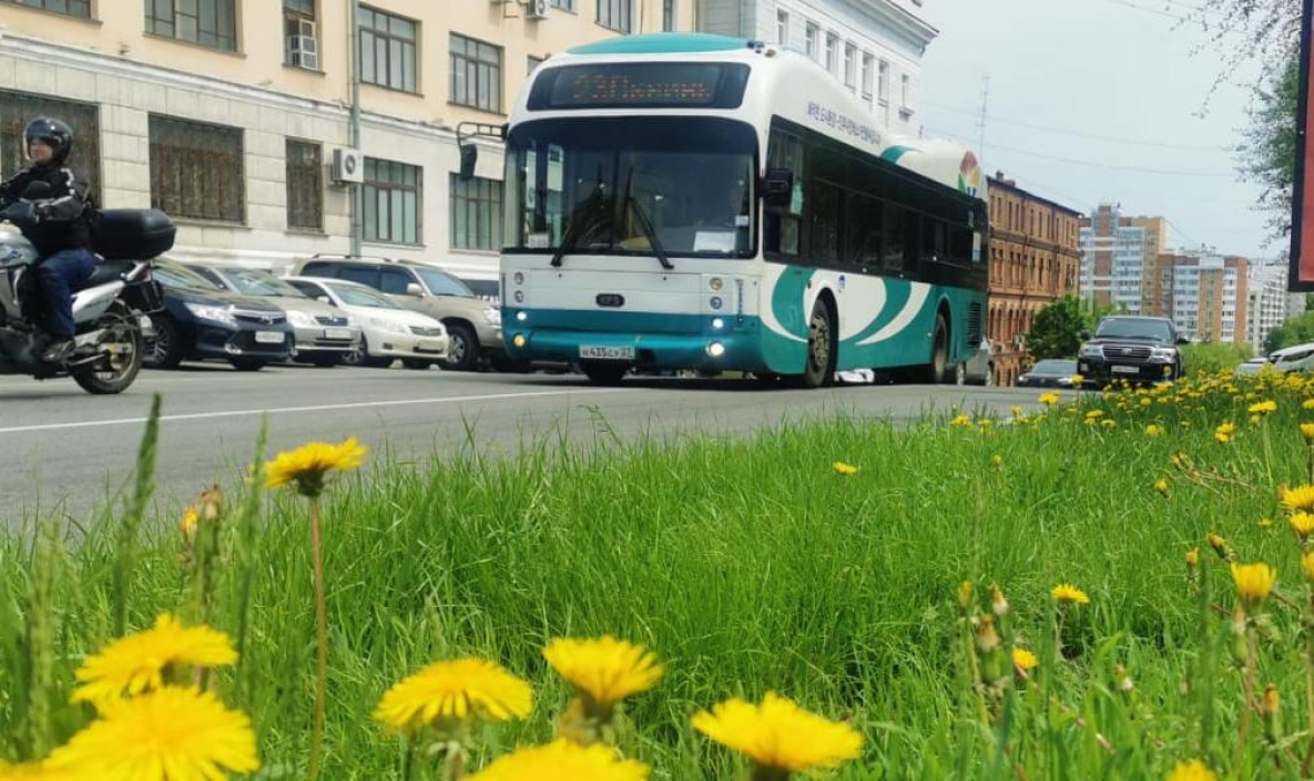В день рождения Хабаровска в городе изменится движение транспорта 