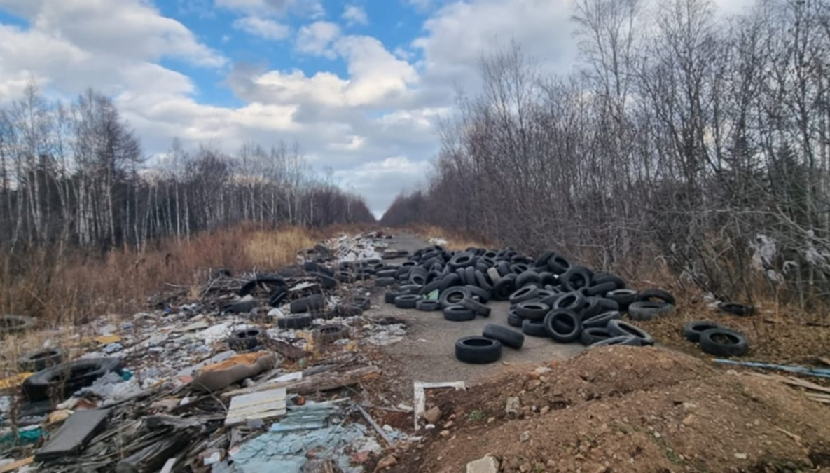 В Хабаровском крае выявлены несколько тысяч квадратных метров нелегальных свалок