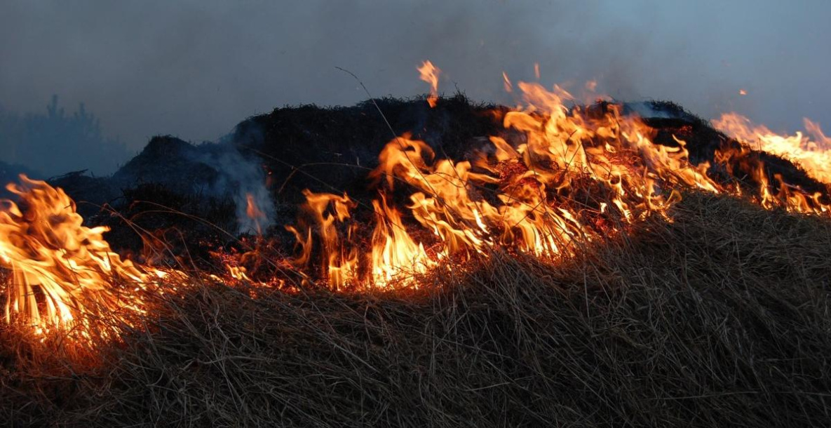 В Хабаровском крае растёт количество ландшафтных пожаров