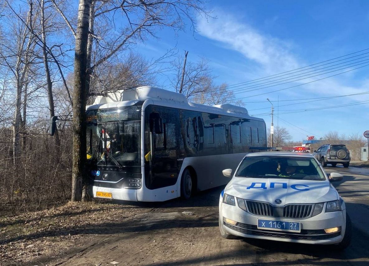В Хабаровске водитель автобуса врезался в дерево и скончался