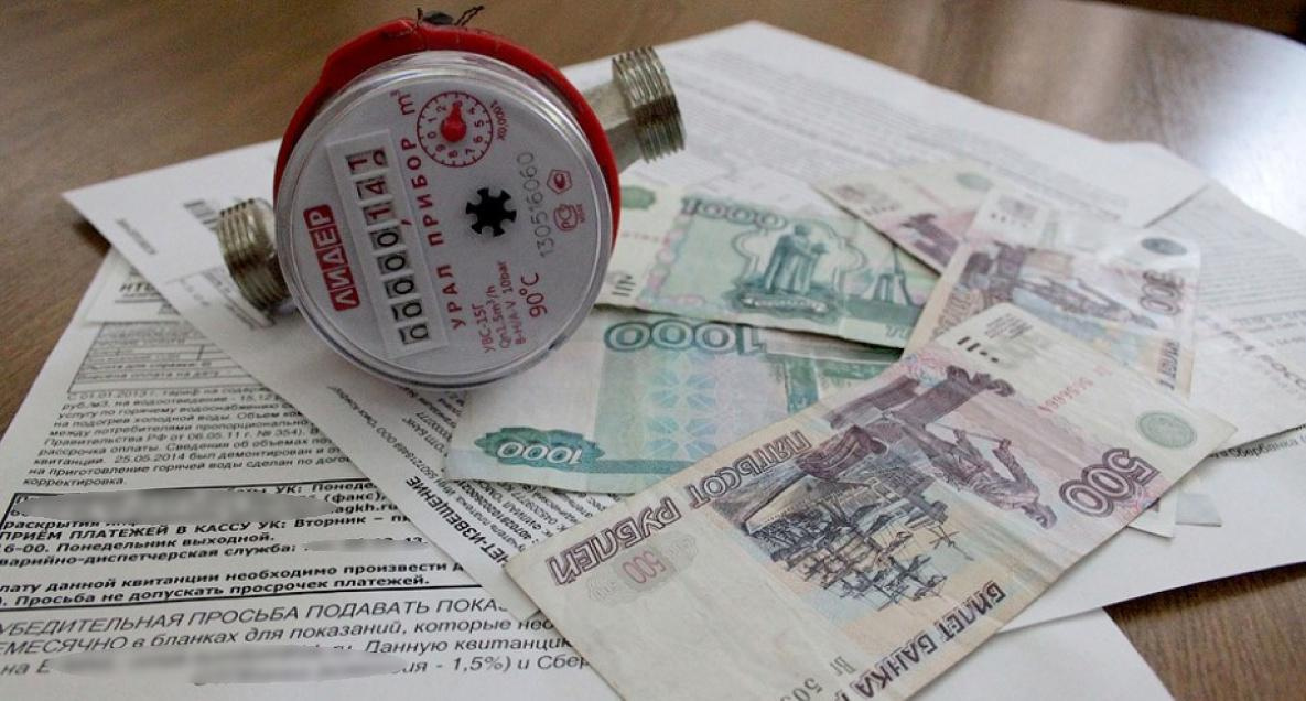 ФАС добилась снижения цены замены газовых счётчиков в Хабаровском крае