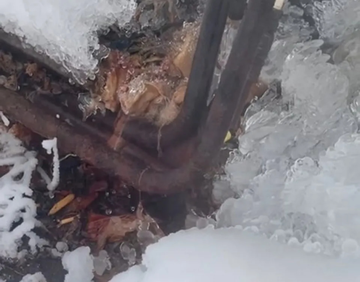 Дом в Высокогорном Хабаровского края несколько часов оставался без отопления