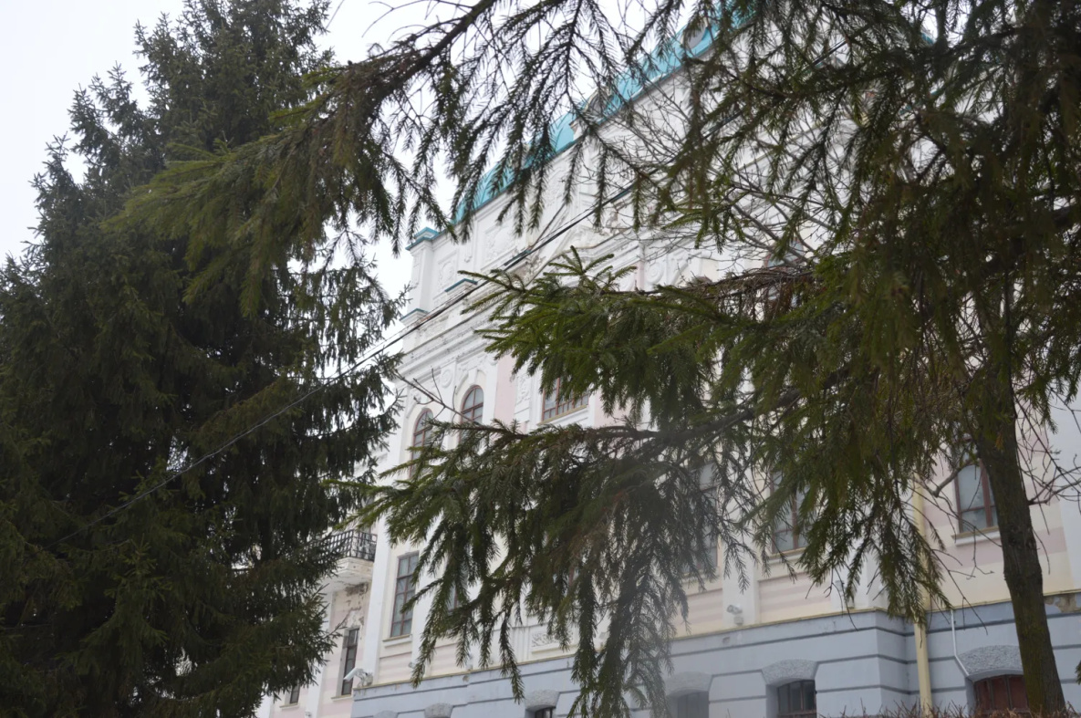 Снежный циклон вскоре придёт на территорию Хабаровского края