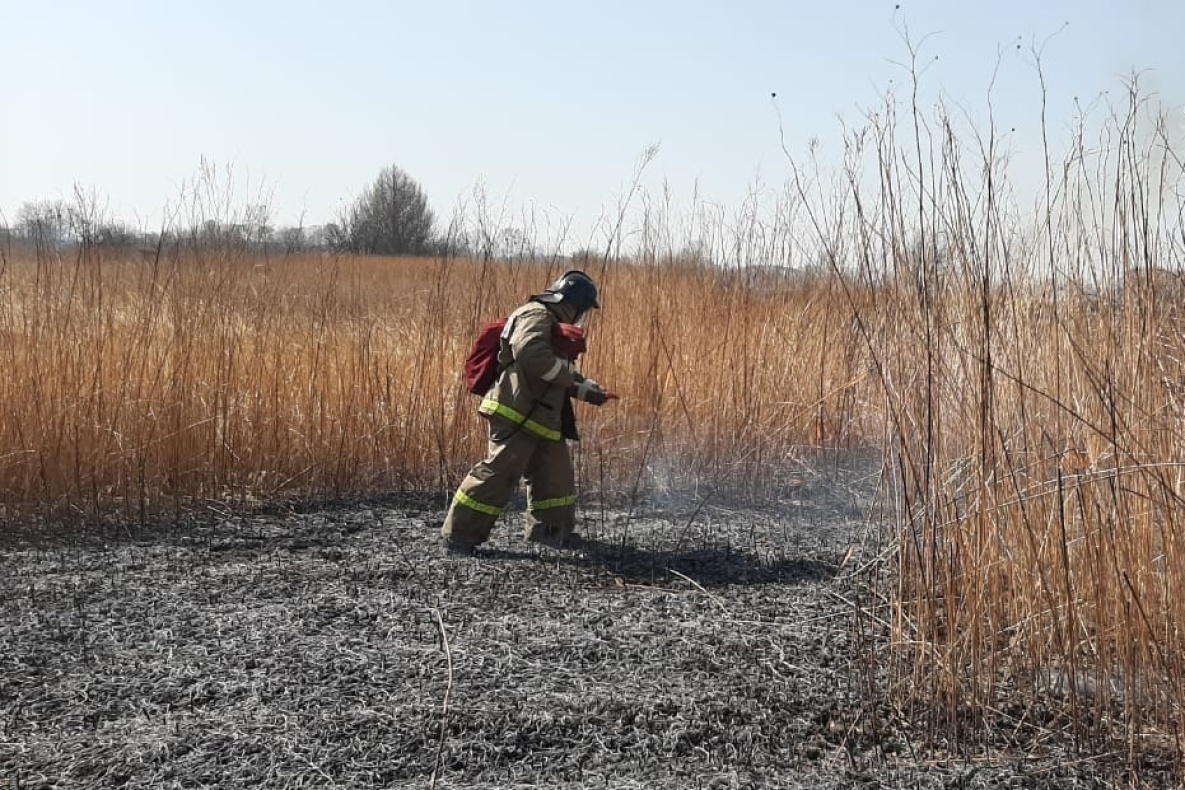 Опасность больших лесных пожаров сохраняется в двух районах Хабаровского края