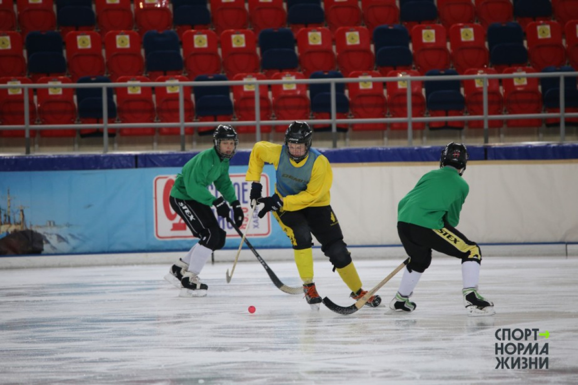 Начала «ледового сезона» ожидают хабаровские волонтёры русского хоккея