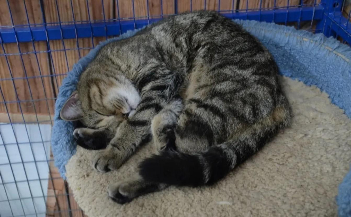 Синоптики предупредили о резком похолодании в Хабаровском крае