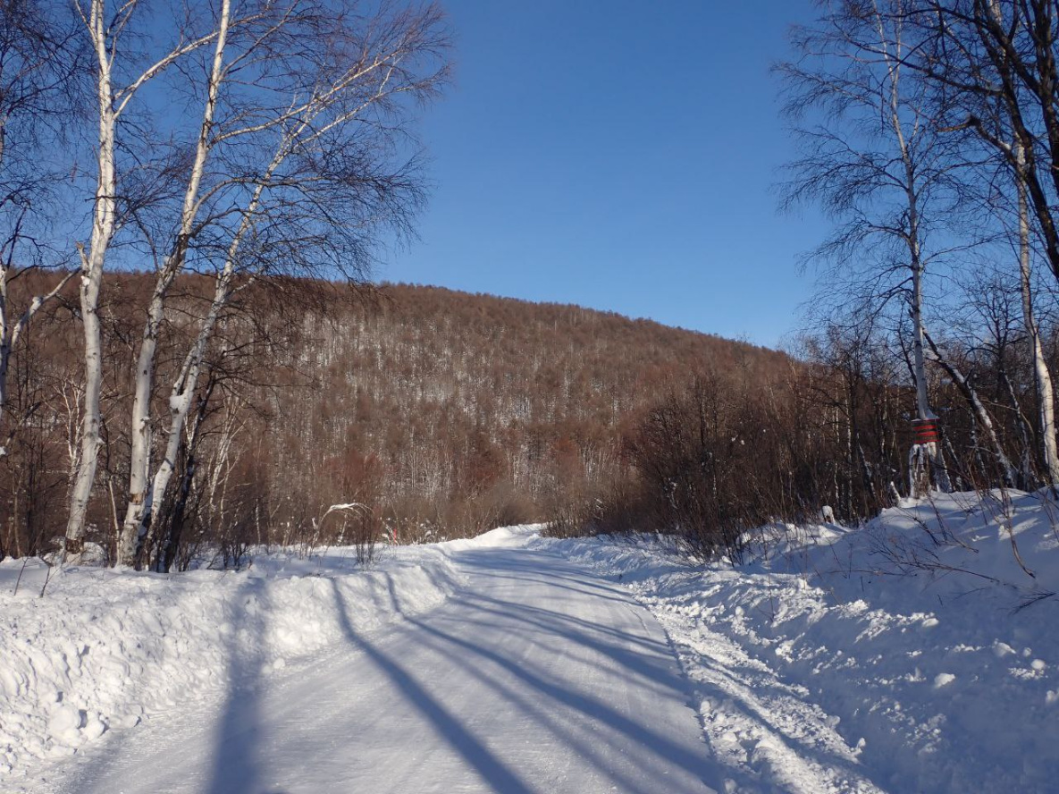 На севере Хабаровского края расчистили дороги после снегопада