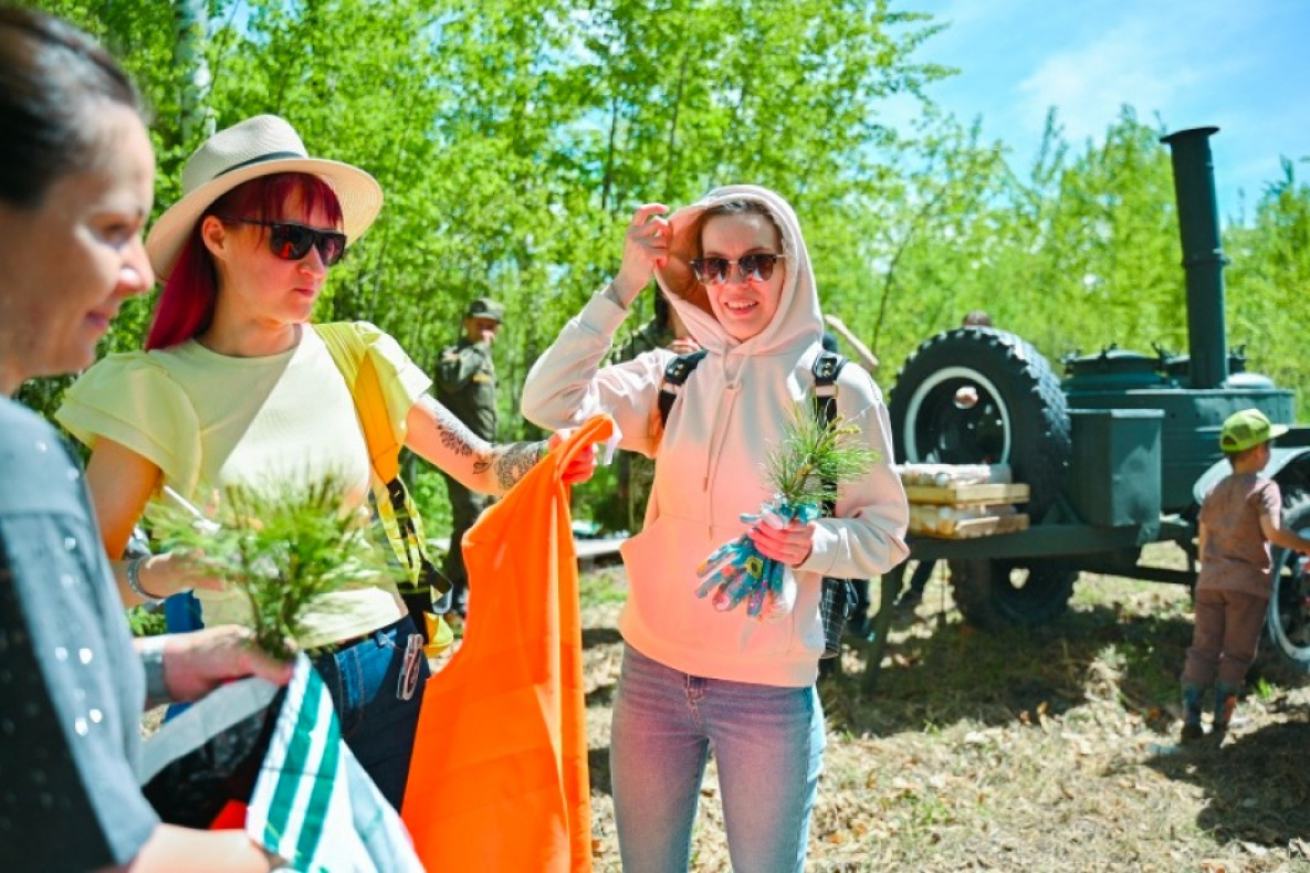 Сотни хабаровчан высадили «Сад памяти» в пригороде краевой столицы |  20.05.2024 | Хабаровск - БезФормата