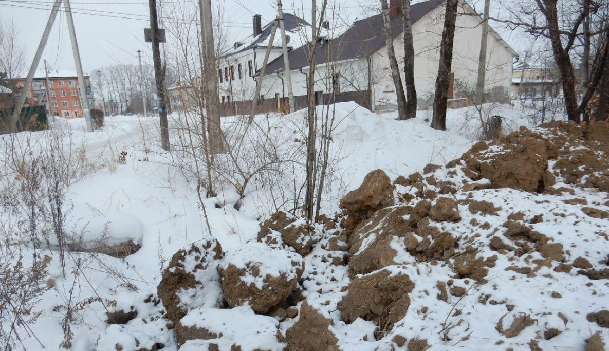 Прокуратура нашла незаконный сквер в пригороде Хабаровска