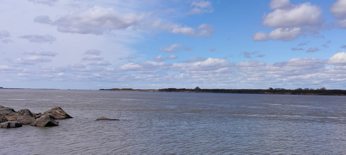 Хабаровские гидрологи объяснили резкое падение уровня реки Амур