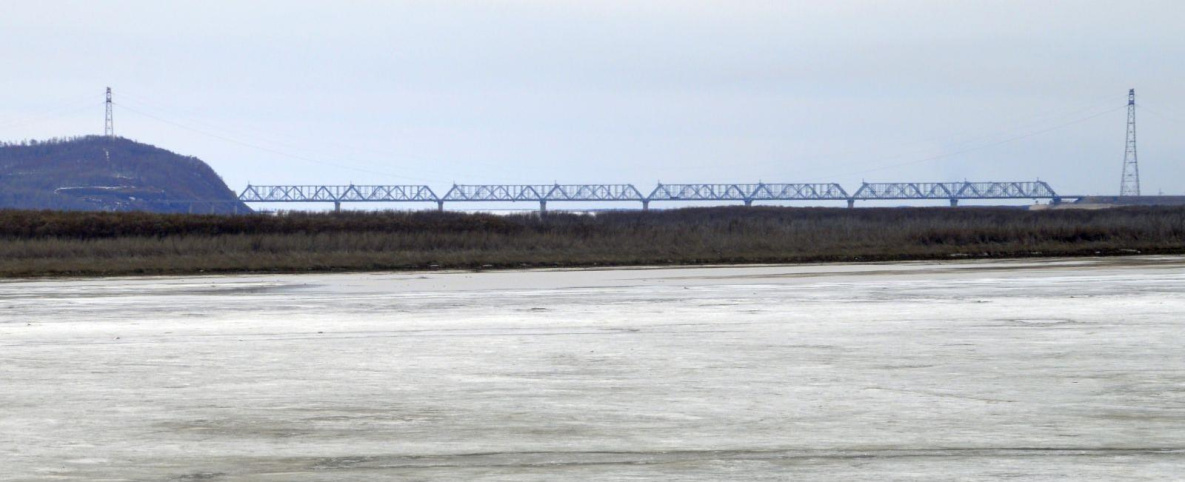 Мосту через Амур у Комсомольска требуется глобальный ремонт