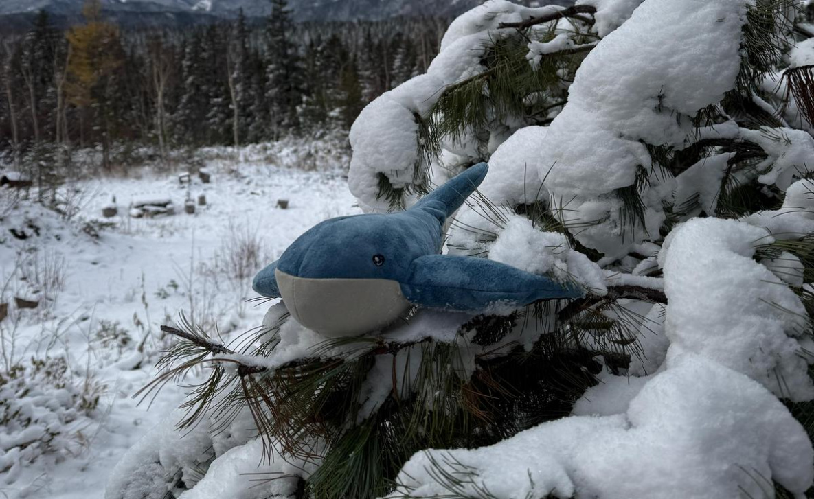 Зимняя сказка воцарилась на хребте Мяо-Чан в Хабаровском крае