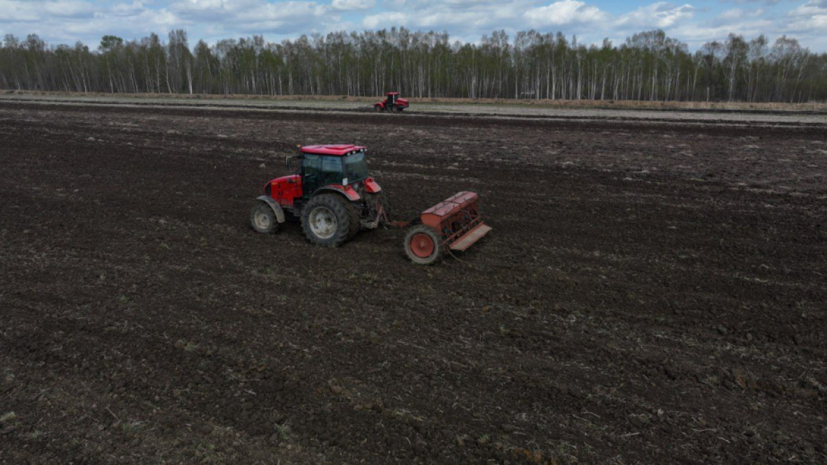 В Хабаровском крае к 2030 году введут 30 тыс. га земель для сельского хозяйства