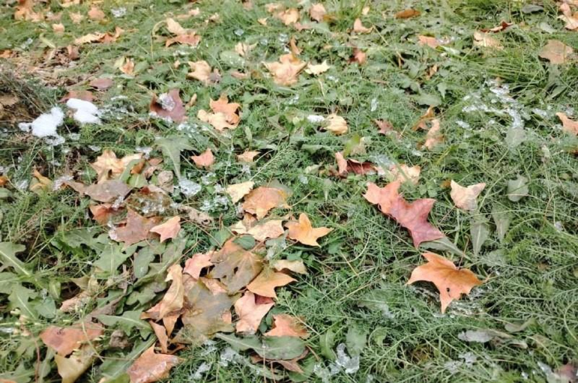 Слегка потеплеет в Хабаровском крае на этой неделе