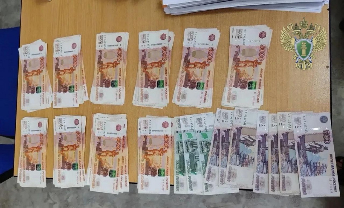 Хабаровчанку будут судить за кражу 2 млн рублей у слепого участника СВО