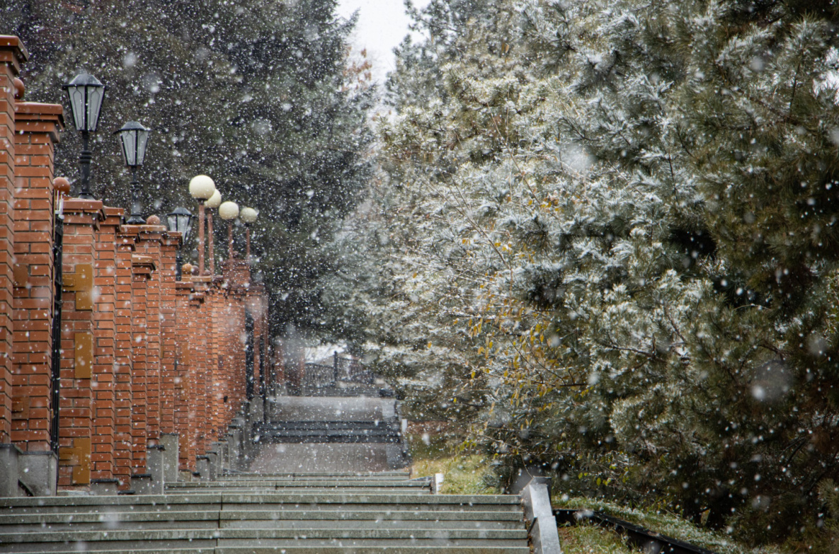 В Хабаровский край приходит циклон со снегом и сильным ветром 